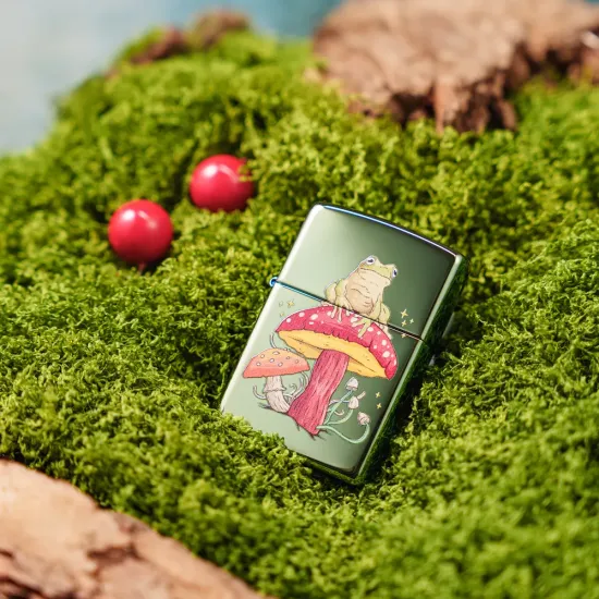 Запалка Zippo - Mystical Frog Design